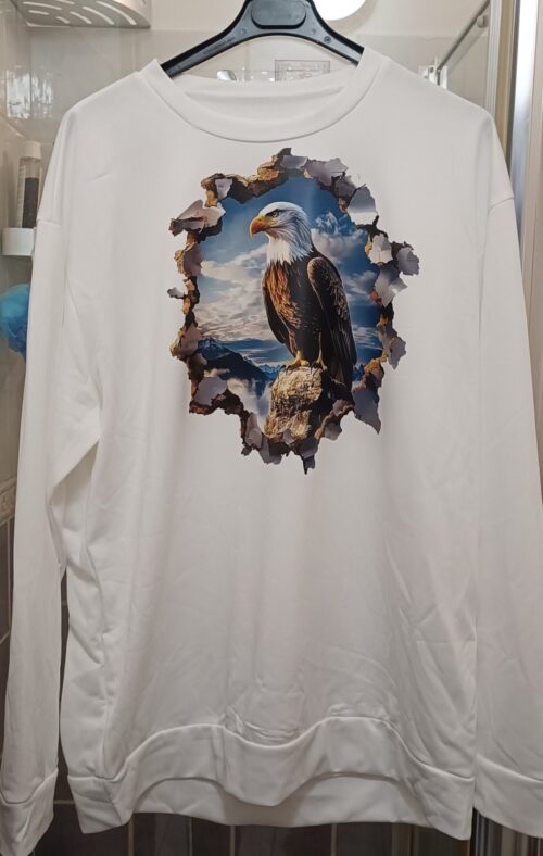 Sweatshirt Homme Uni blanc en flocage DTF