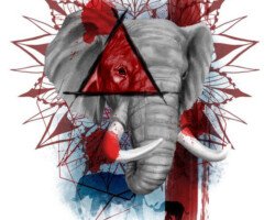 MODÈLE DIVERS 2 Numéro 529